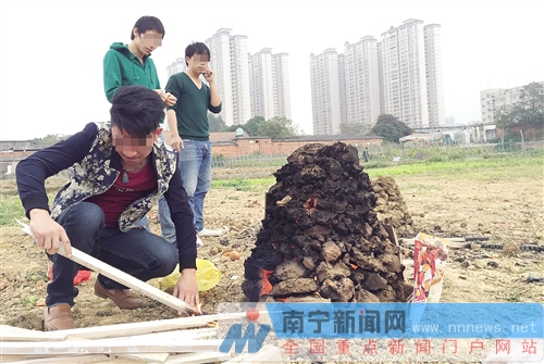 廣西大學(xué)實(shí)驗(yàn)基地變燒烤場(chǎng) 一塊地里紅薯窯超30個(gè)