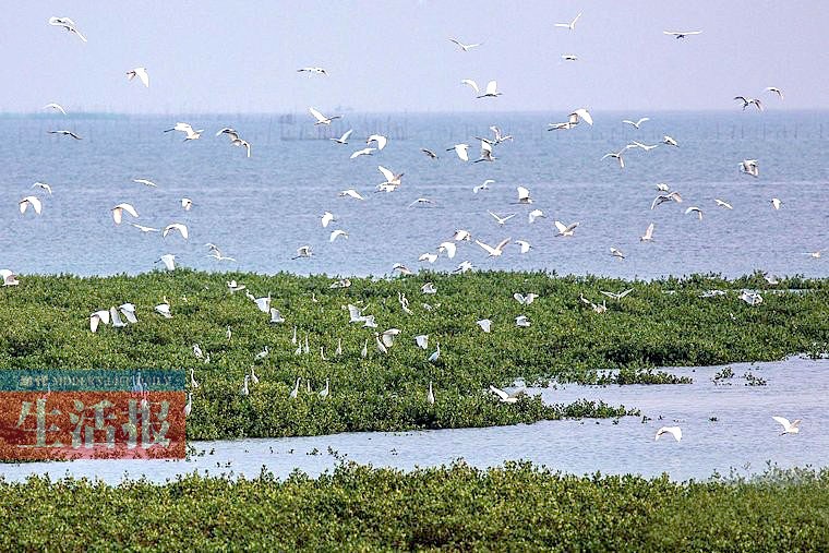 廣西13個國家濕地公園 原始生態(tài)風(fēng)光值得欣賞