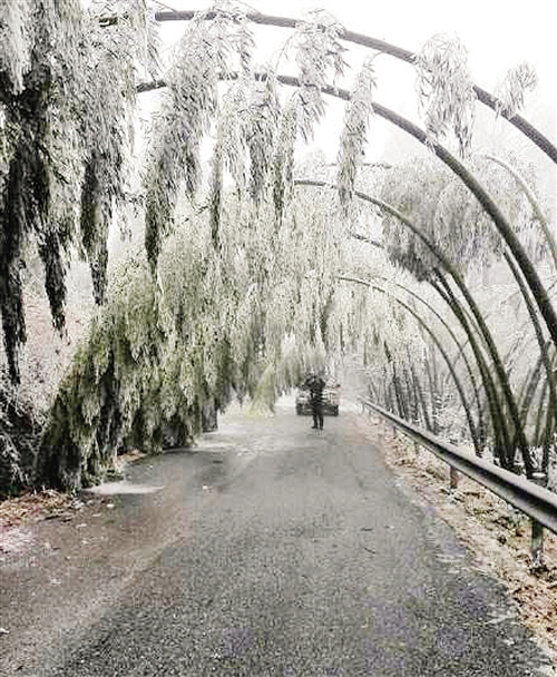 今日立春冷空氣襲邕 未來(lái)七天維持陰冷小雨天氣