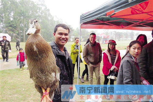 南寧金沙湖景區(qū)正式開門迎客 觀天鵝摘草莓等你來(lái)