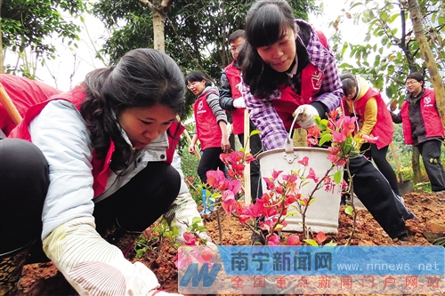 南寧市開展“花樣南寧”建設(shè)義務(wù)植樹活動(dòng)