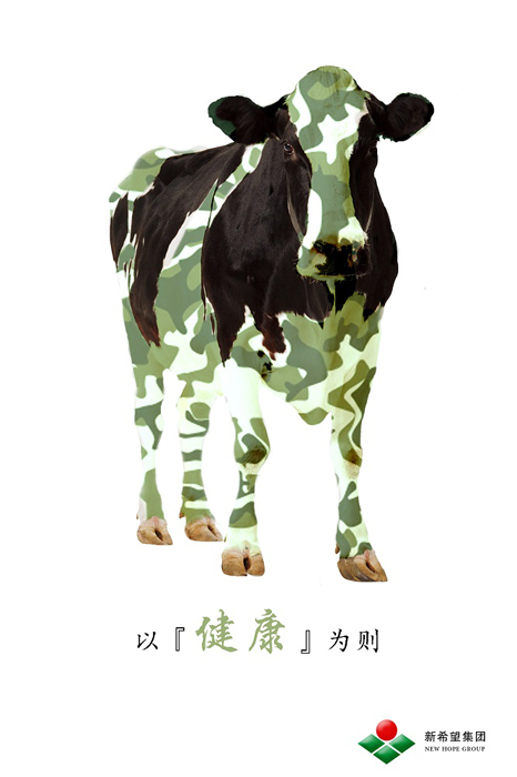 “天鶴獎(jiǎng)”“陽光杯”兩賽聚海南 創(chuàng)意設(shè)計(jì)百花齊放