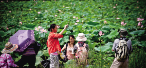 海南休閑農(nóng)業(yè)面臨客源零散等困局 不該只是