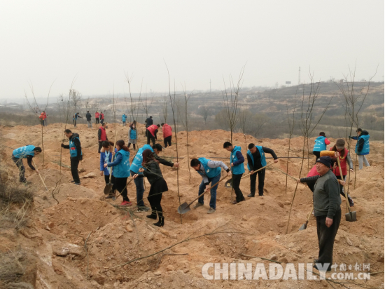 邢臺市愛心組織“慈行邢臺”植樹節(jié)義務植樹千余棵