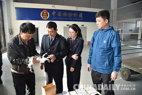 石家莊正定機(jī)場中郵國際快件分揀中心成功運(yùn)營