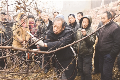 “數(shù)”說一生精彩 “抒”寫為農(nóng)情懷