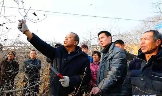 一個“農(nóng)民教授”，為何感動了百萬河北人