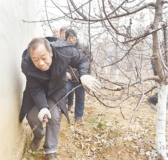 一個“農(nóng)民教授”，為何感動了百萬河北人