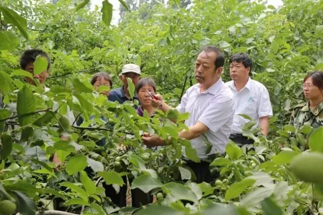 一個“農(nóng)民教授”，為何感動了百萬河北人