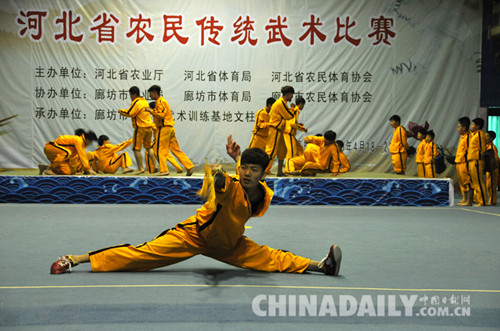 2016年河北省農(nóng)民傳統(tǒng)武術(shù)比賽在文安縣拉開(kāi)帷幕