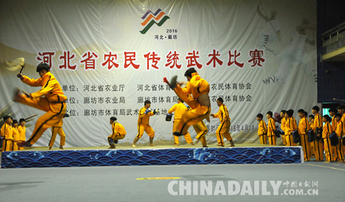 2016年河北省農(nóng)民傳統(tǒng)武術(shù)比賽在文安縣拉開帷幕