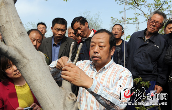 太行山作證——追記河北農業(yè)大學教授李保國