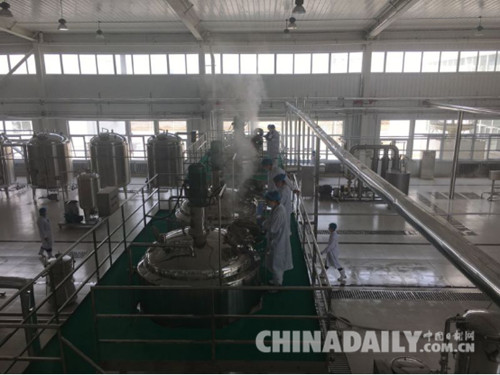 唐山樂亭北京慶林肽項目試生產(chǎn)