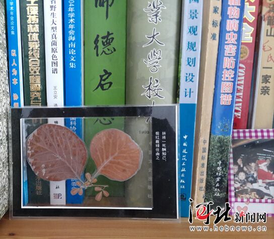【網(wǎng)絡(luò)媒體走轉(zhuǎn)改】追記李保國教授：心之所在 魂歸太行