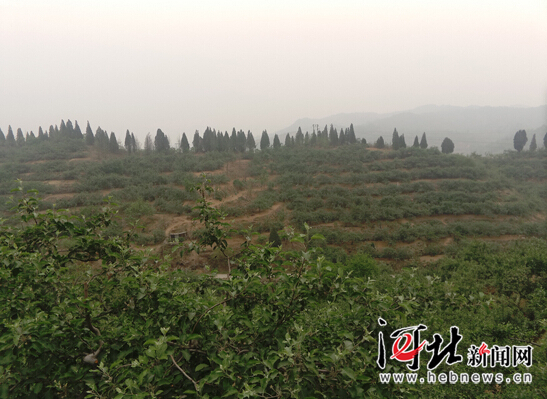 【網(wǎng)絡媒體走轉改】追記李保國教授：心之所在 魂歸太行