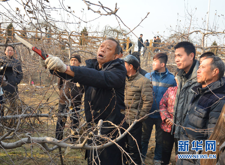 [網(wǎng)絡(luò)媒體走轉(zhuǎn)改]李保國(guó)：與巍巍太行相融 與山區(qū)百姓相依