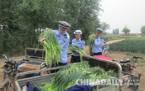 邯鄲雞澤交警下地“打蒜薹”扎實(shí)開展“兩學(xué)一做”活動