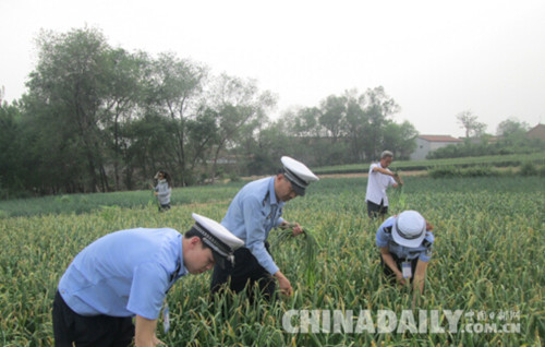 邯鄲雞澤交警下地“打蒜薹”扎實(shí)開展“兩學(xué)一做”活動