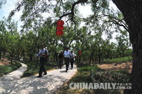 滄州黃驊舉辦堤柳百年棗林農(nóng)民詩(shī)會(huì)