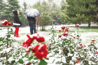 河南迎來今冬首場(chǎng)雪 多地氣溫開啟零下模式