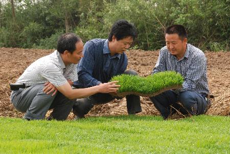 河南潢川：大力發(fā)展“秈改粳”工程