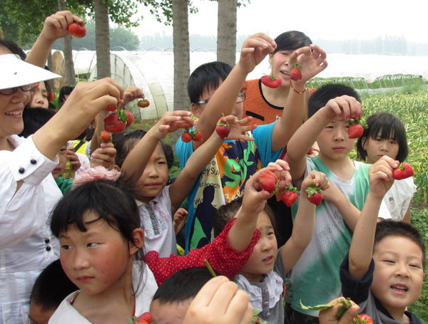 鄭州馨悅苑社區(qū)舉行“紅彤彤的草莓獻(xiàn)母親”活動(dòng)