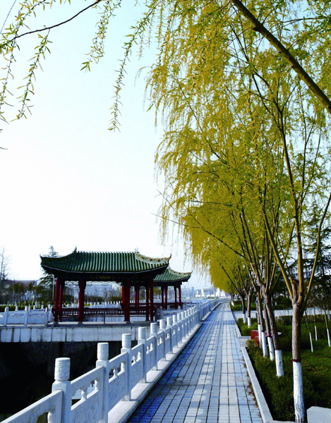 濟(jì)源加快新型農(nóng)村社區(qū)建設(shè)成效顯著