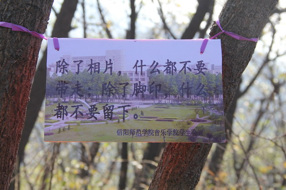 信陽師范學(xué)院音樂學(xué)院開展黨員環(huán)保社會實(shí)踐活動