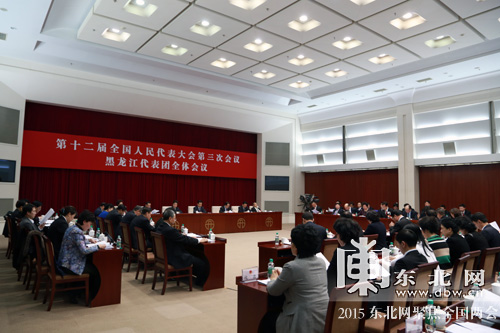 黑龍江省代表團(tuán)舉行第五次全體會(huì)議 審議修改《立法法》的決定草案