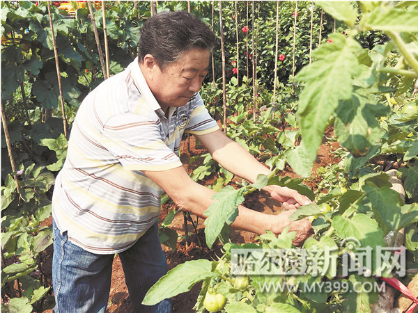哈爾濱七旬老夫妻定制百萬房車 浪漫攜手游遍半個(gè)中國(guó)