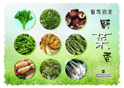 清新菊花茶、幽幽野菜香盡在哈爾濱香格里拉大酒店