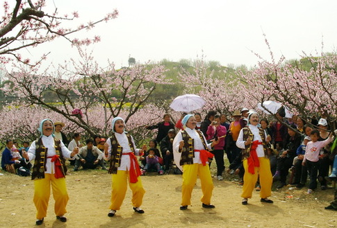湖北蘄春舉辦首屆桃花會(huì)（圖）