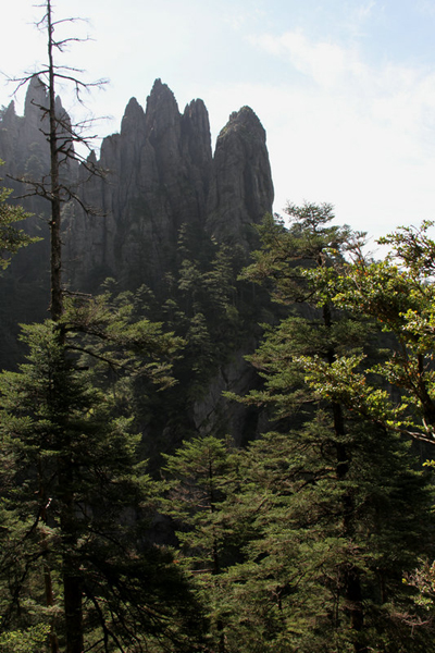 最長(zhǎng)棧道揭“神農(nóng)一景”神秘面紗