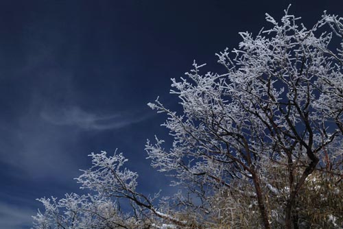 強冷空氣致神農(nóng)架驟降“桃花雪”