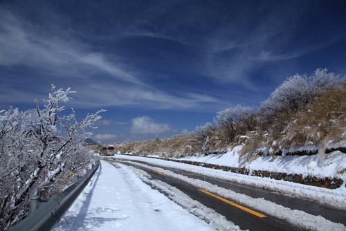 強冷空氣致神農(nóng)架驟降“桃花雪”