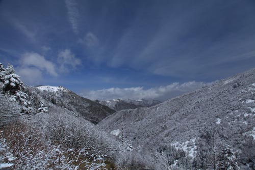強(qiáng)冷空氣致神農(nóng)架驟降“桃花雪”