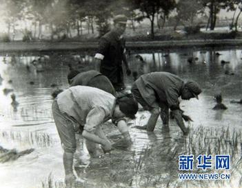 學(xué)習(xí)楊善洲精神：堅(jiān)守共產(chǎn)黨人的精神高地