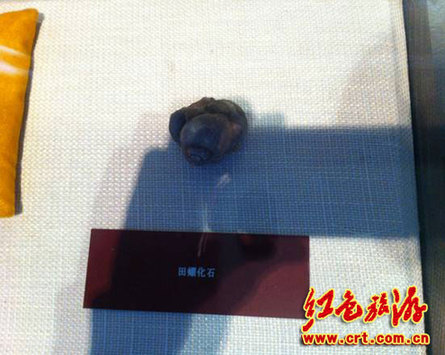 瞻仰沈鈞儒紀(jì)念館 尋覓歷史足跡