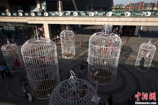 南京街頭“巨型鳥籠”陣倡導(dǎo)綠色生活