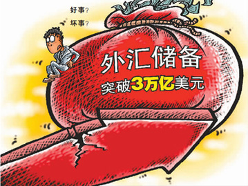 外匯儲備究竟是誰的錢？能不能分？