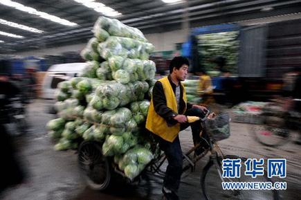 菜價(jià)猶如“過山車” 價(jià)格穩(wěn)定機(jī)制何去何從？
