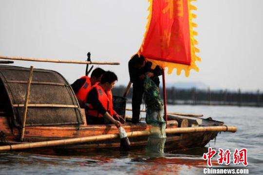 蘇州陽澄湖延伸蟹產業(yè)鏈 大閘蟹催生“大旅游”