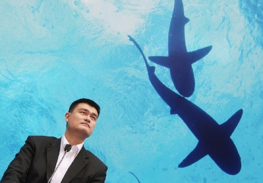 魚(yú)翅的“戰(zhàn)爭(zhēng)”：北京一天消費(fèi)一個(gè)億魚(yú)翅
