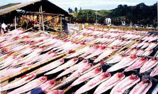 魚翅的“戰(zhàn)爭”：北京一天消費一個億魚翅