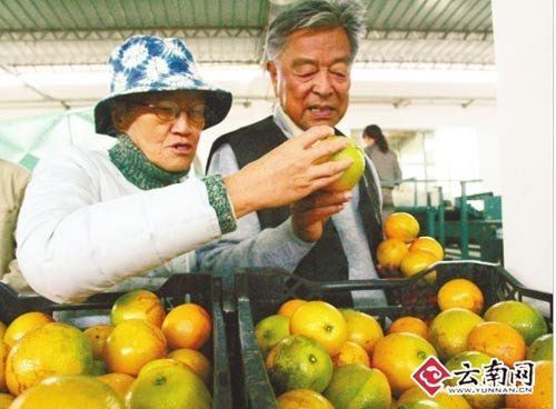 85歲褚時(shí)健赴北京賣橙 引發(fā)王石等感慨