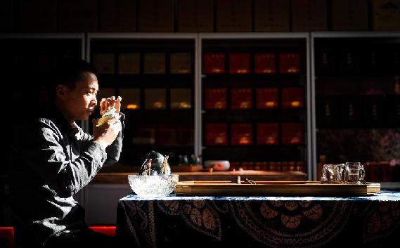 茶博會(huì)上過“茶癮”