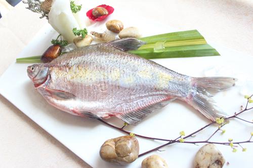 開江魚平價(jià)論斤稱 醬燜紅燒你做主