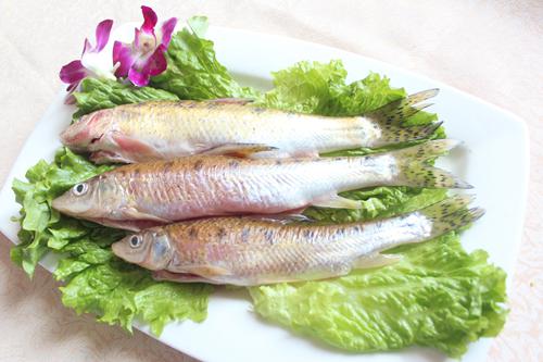 開江魚平價(jià)論斤稱 醬燜紅燒你做主