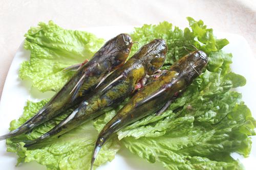 開江魚平價(jià)論斤稱 醬燜紅燒你做主