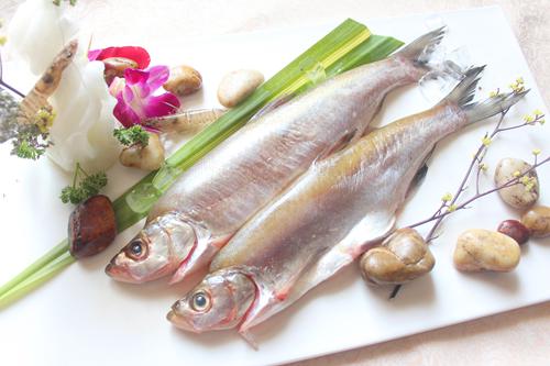 開江魚平價(jià)論斤稱 醬燜紅燒你做主